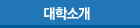 대학소개